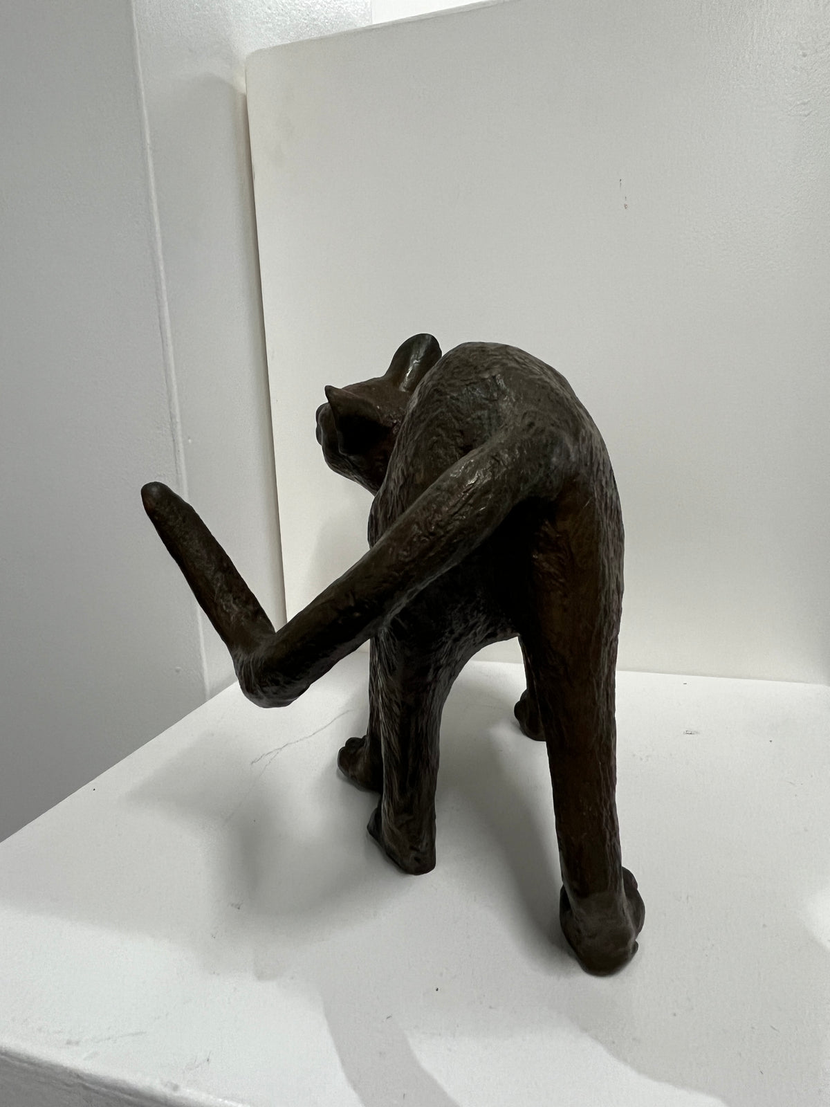 Glenys Lindsay - Cats 1/11