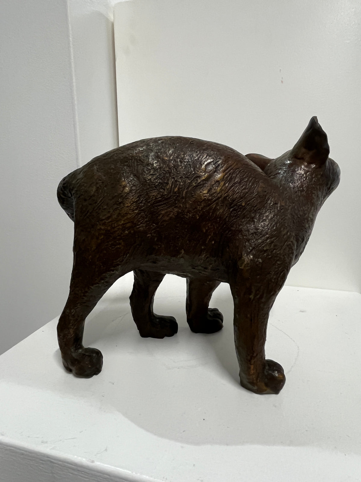 Glenys Lindsay - Cats 1/11