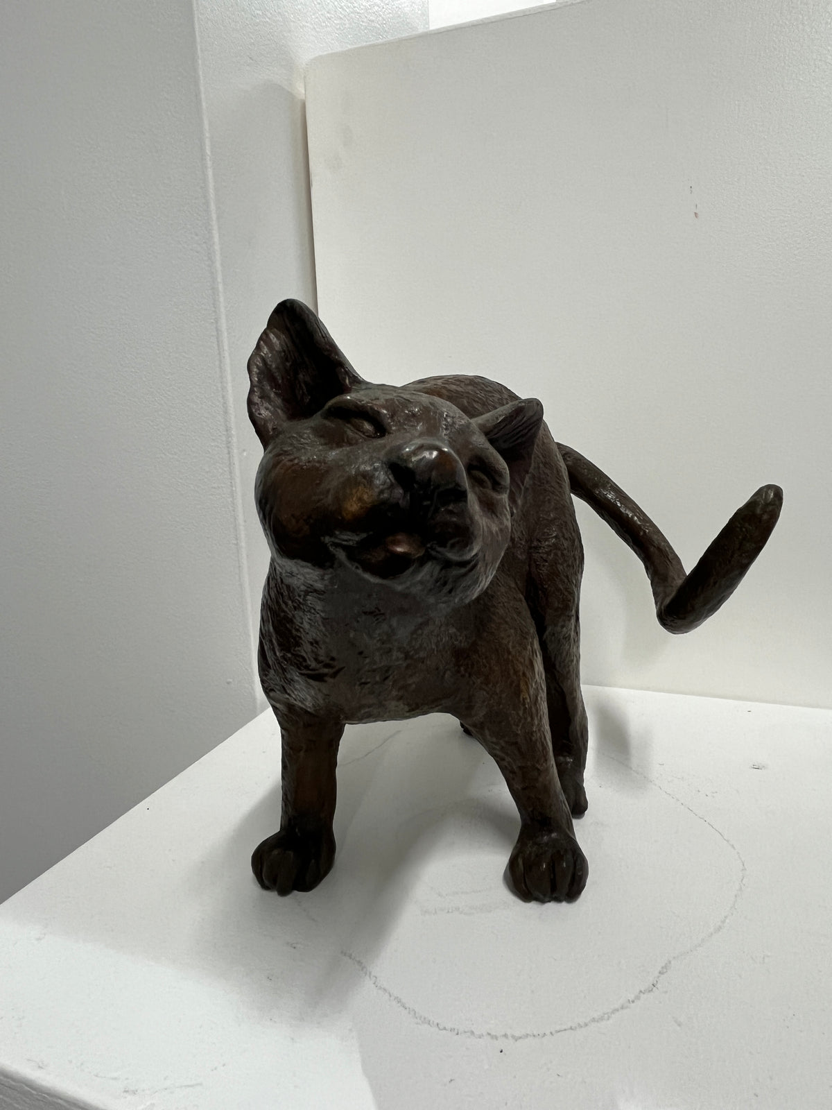 Glenys Lindsay - Cats 1/11