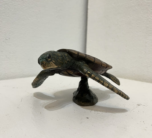 Dean Rusling - Greenhouse Sea Turtle