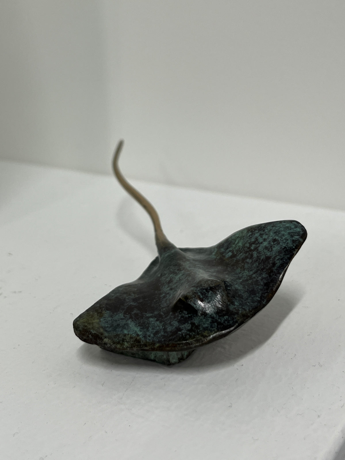 Dean Rusling - Stingray 17/99 (70mm Baby Ray)