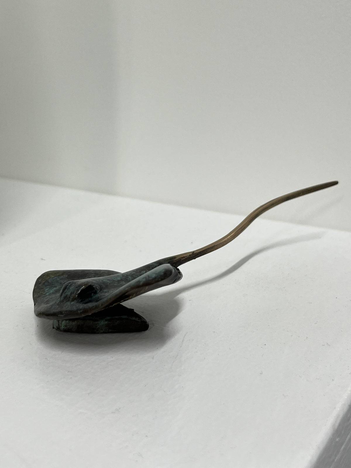 Dean Rusling - Stingray 17/99 (70mm Baby Ray)