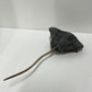 Dean Rusling - Stingray 17/99 (70mm Baby Ray)
