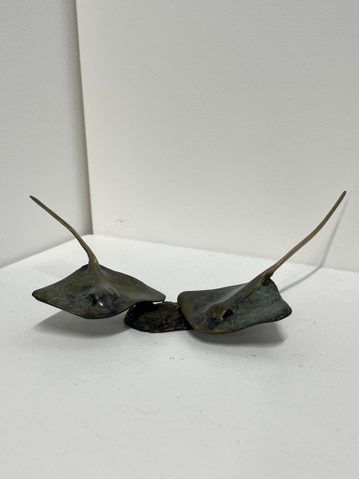 Dean Rusling - Stingray 15/99 (70mm Double Baby Rays)