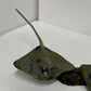 Dean Rusling - Stingray 15/99 (70mm Double Baby Rays)