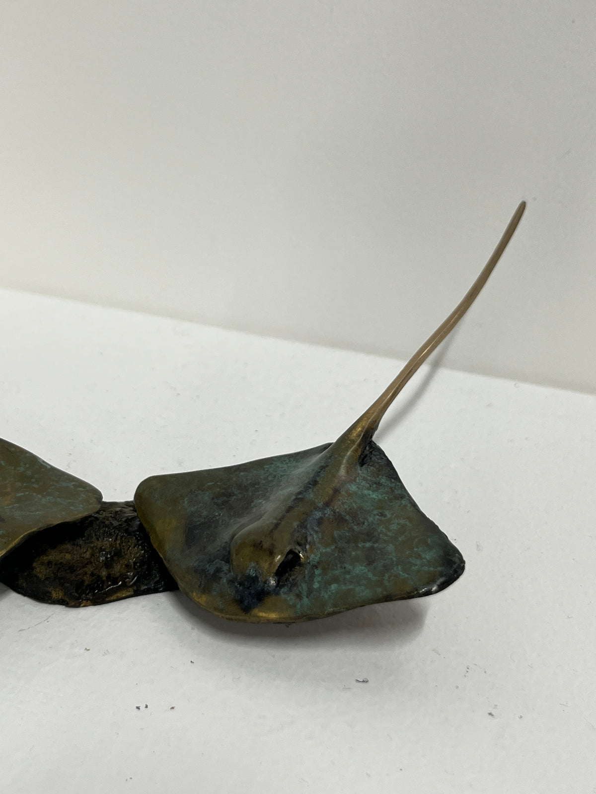 Dean Rusling - Stingray 15/99 (70mm Double Baby Rays)