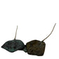 Dean Rusling - Stingray (130mm double rays) 21/99