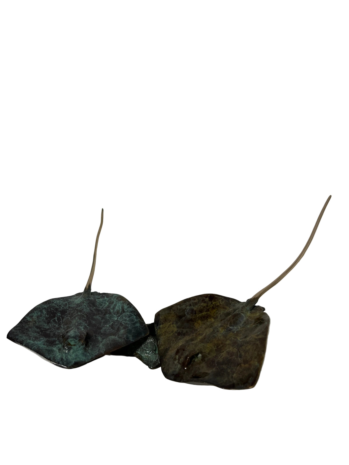 Dean Rusling - Stingray (130mm double rays) 21/99