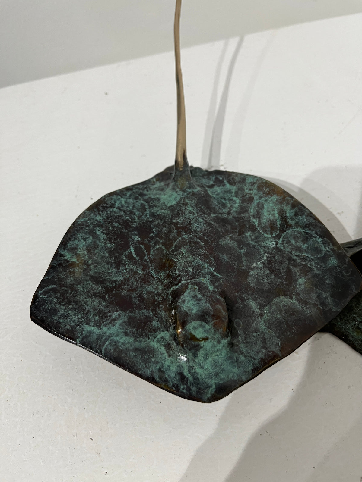 Dean Rusling - Stingray (130mm double rays) 21/99