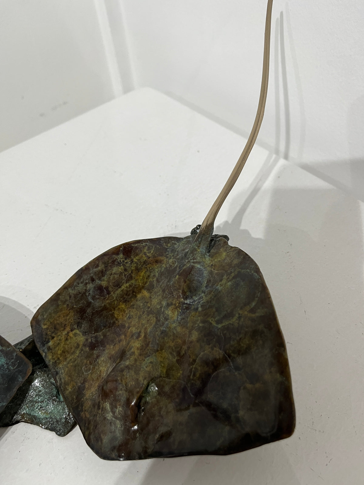 Dean Rusling - Stingray (130mm double rays) 21/99