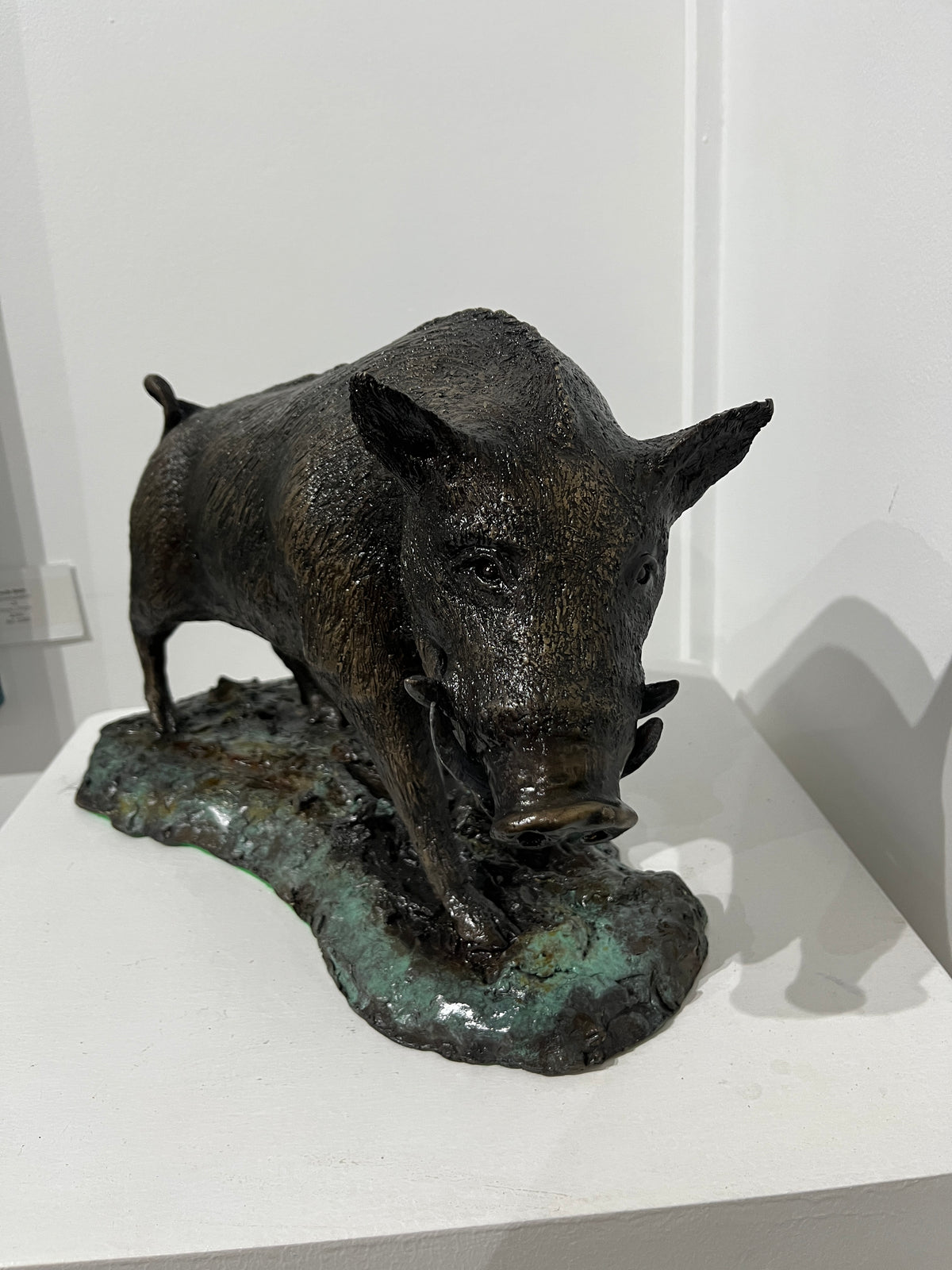 Dean Rusling - Wild Boar