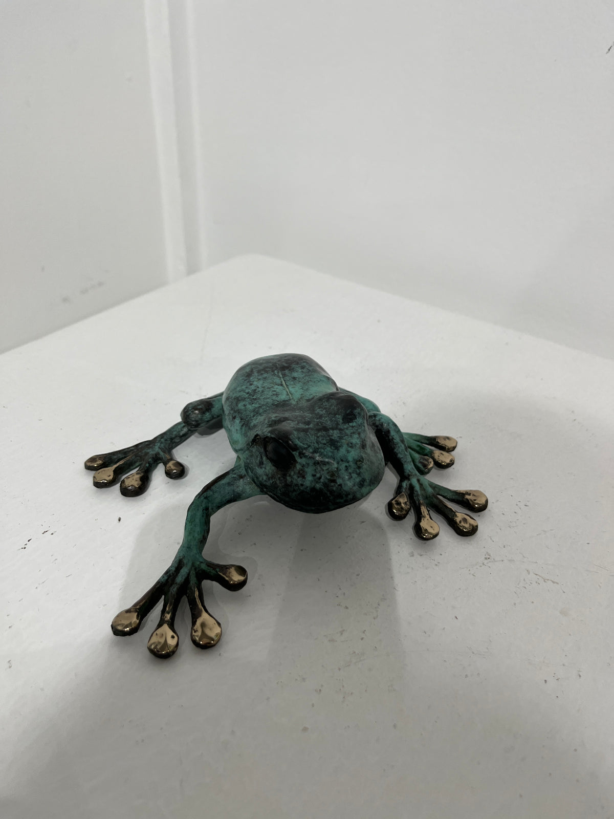 Dean Rusling - Green Tree Frog 68/99 (Pauly)