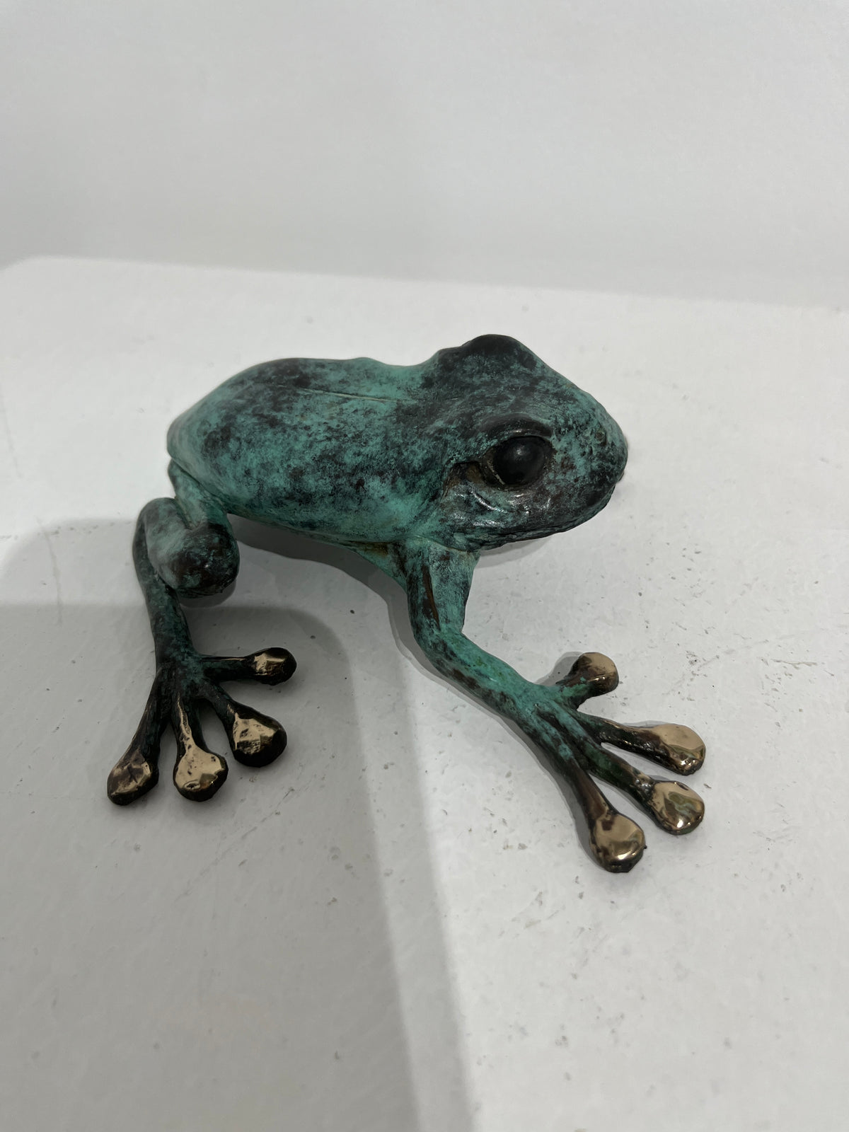 Dean Rusling - Green Tree Frog 68/99 (Pauly)