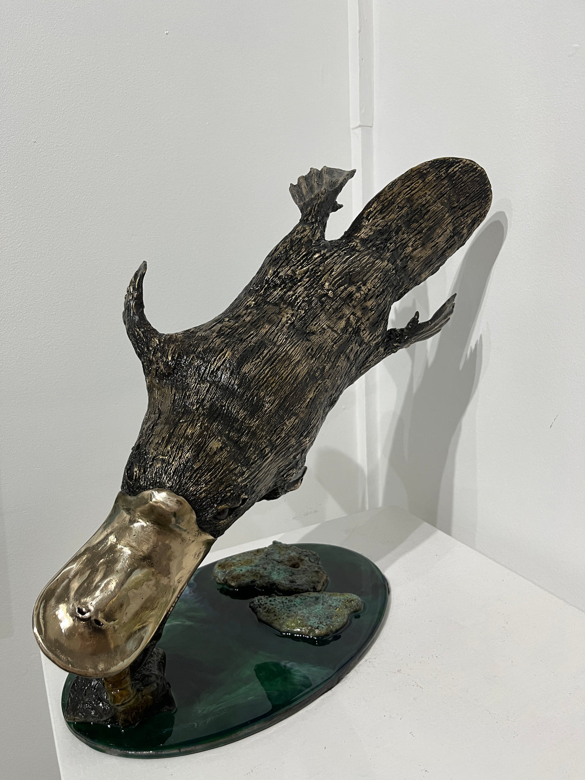 Dean Rusling - Large Playpus Eating Cray (Lunch Time) 4/27