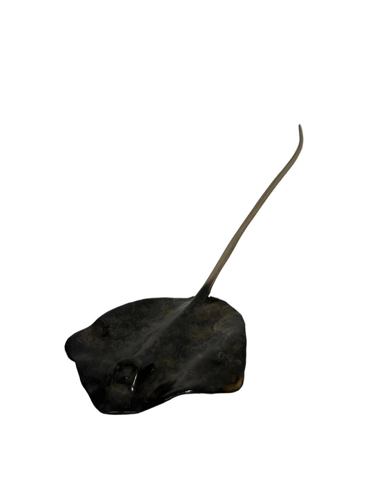 A dark brown stingray sculpture or decorative object with a long, slender tail, displayed on a white pedestal in a minimalist white room.