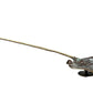 Dean Rusling - Stingray (180mm Bayray) 5/50