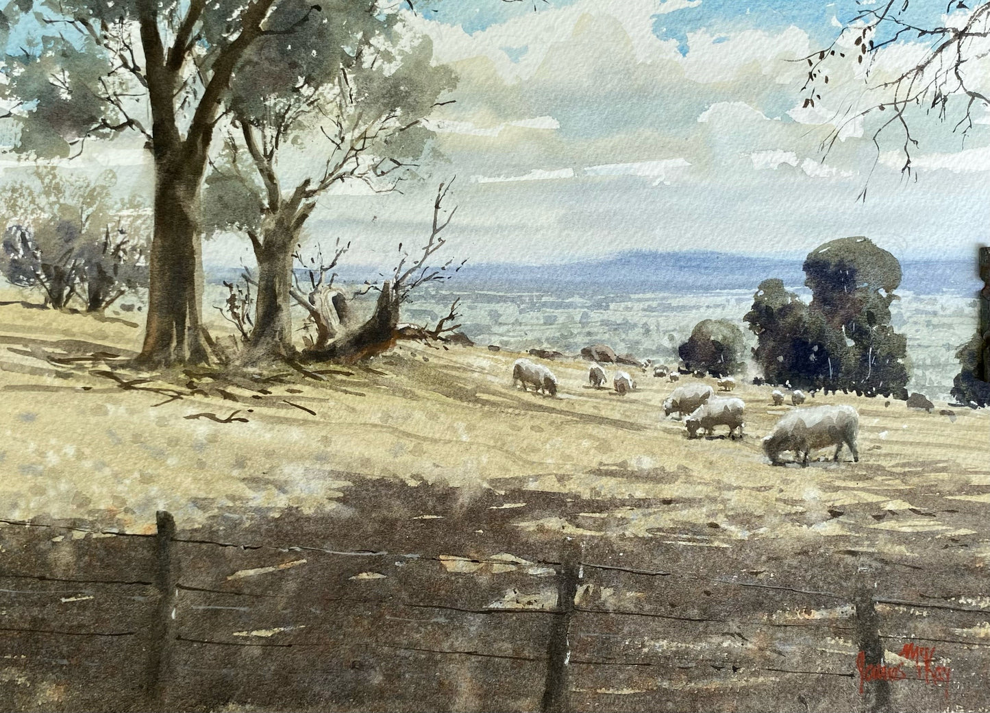 James McKay - Strathbogie Ranges, Victoria