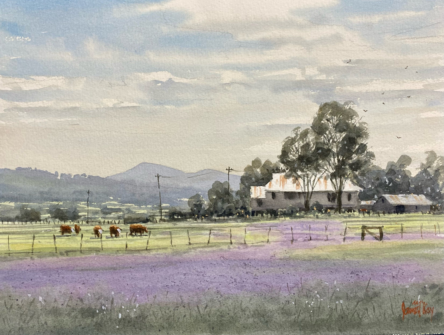 James McKay - Farm near Oakey, Darling Downs