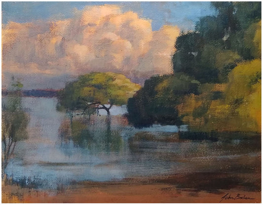 John Braben - Redland Bay Mangroves