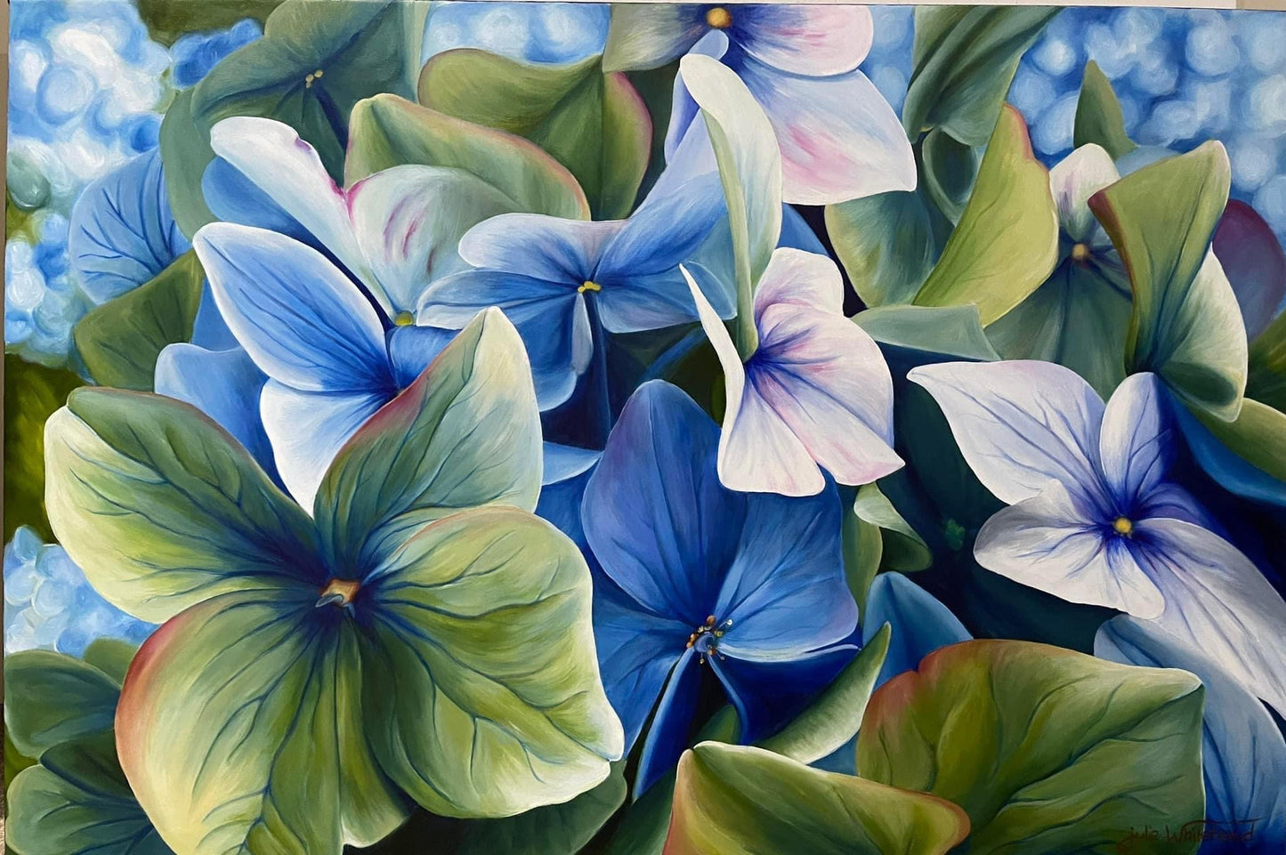Julie Whitehead - Blue/Green Hydrangeas