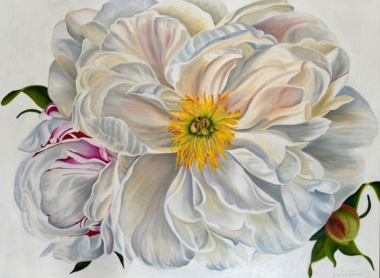 Julie Whitehead - Coral Peony