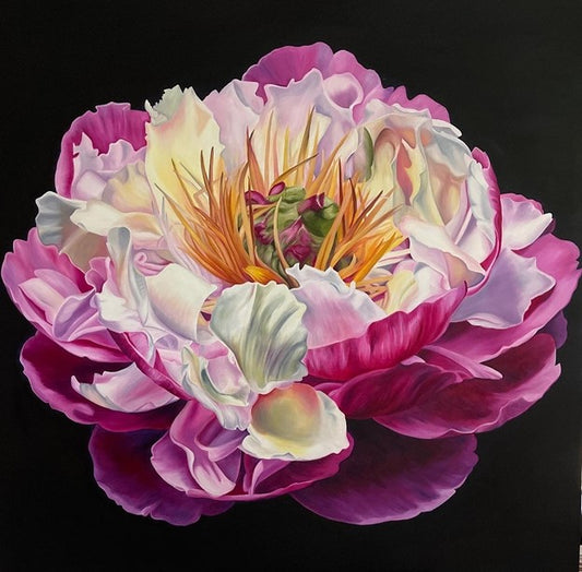 Pink Peony