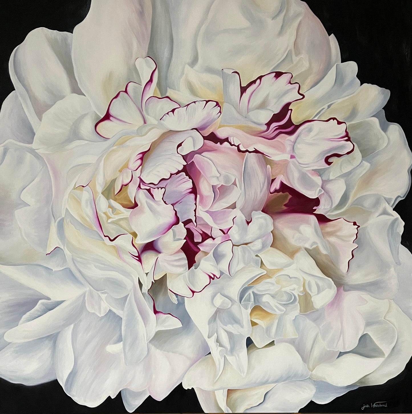 Julie Whitehead - Peony Maxima