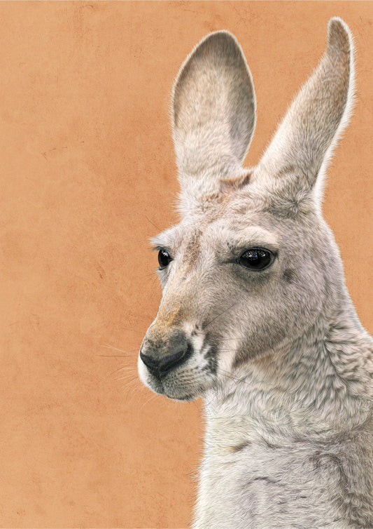 Kait D'Arcy - William the Kangaroo