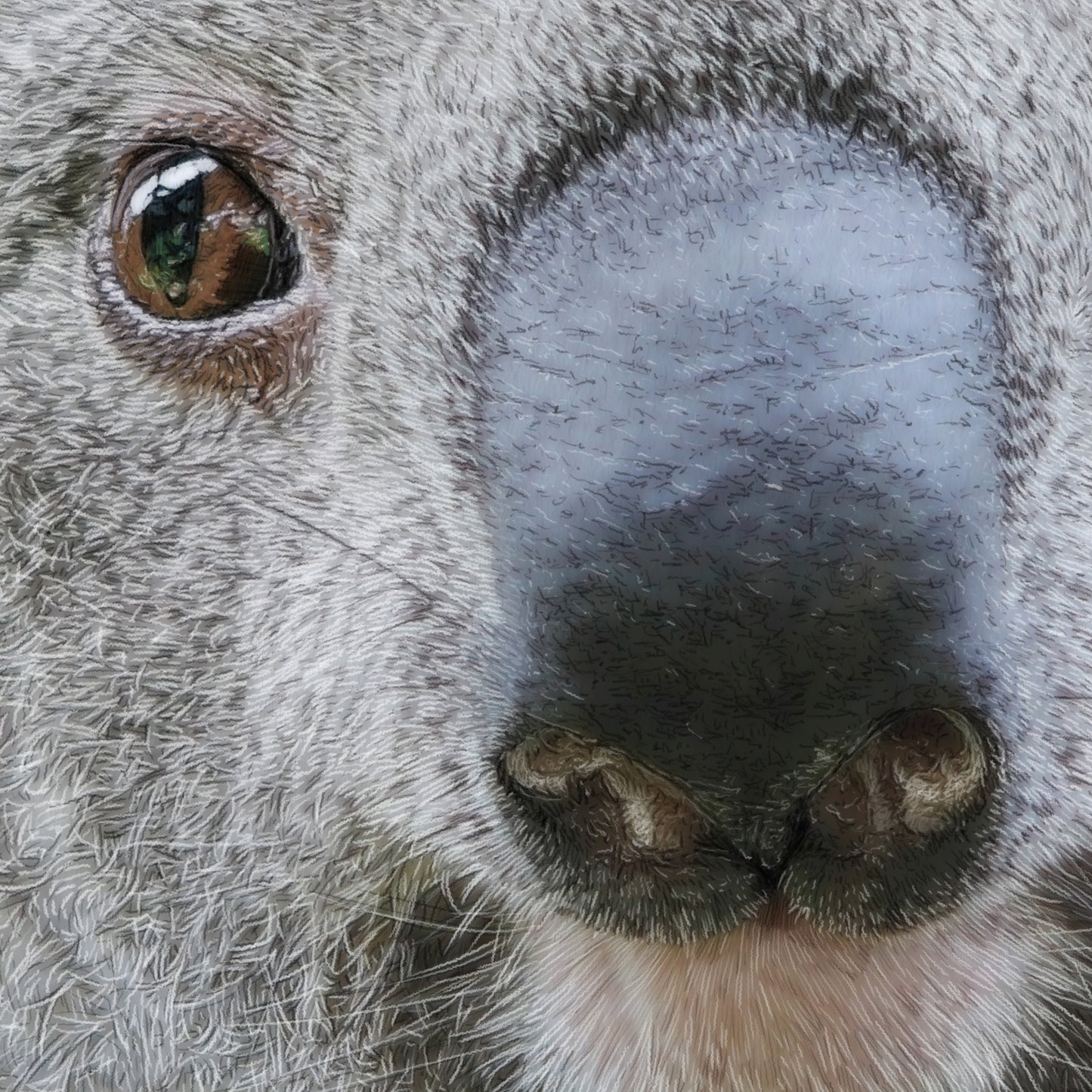 Kait D'Arcy - Winston