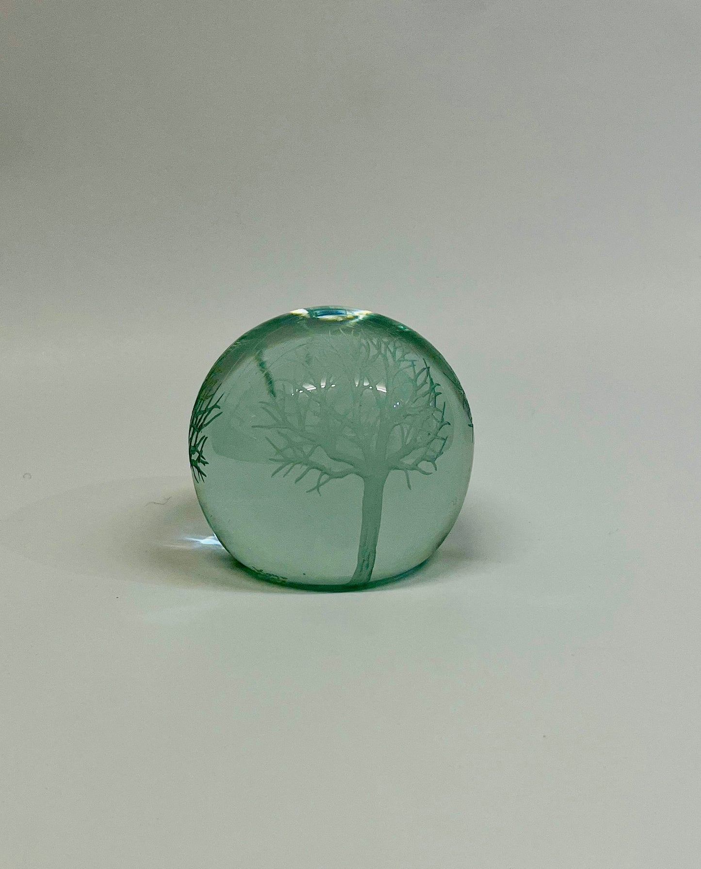 Kayo Yokoyama - Tree Glassweight