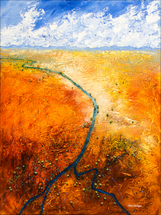 Louis DaLozzo - The Diamantina from Barkly Tableland to Layke Eyre