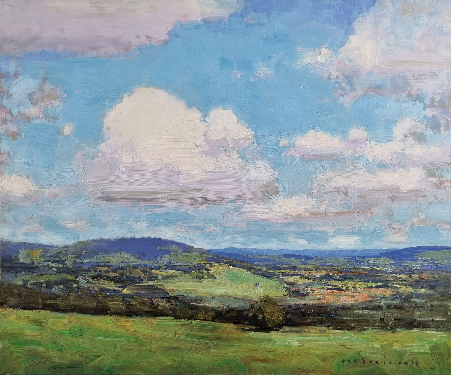 Minhan Cho - Skyward over Samford Valley