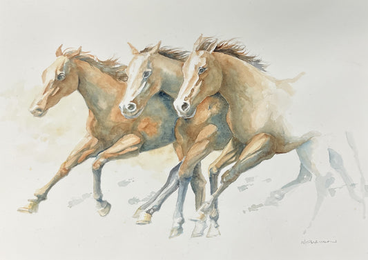 Michael McMahon - Racing Horses