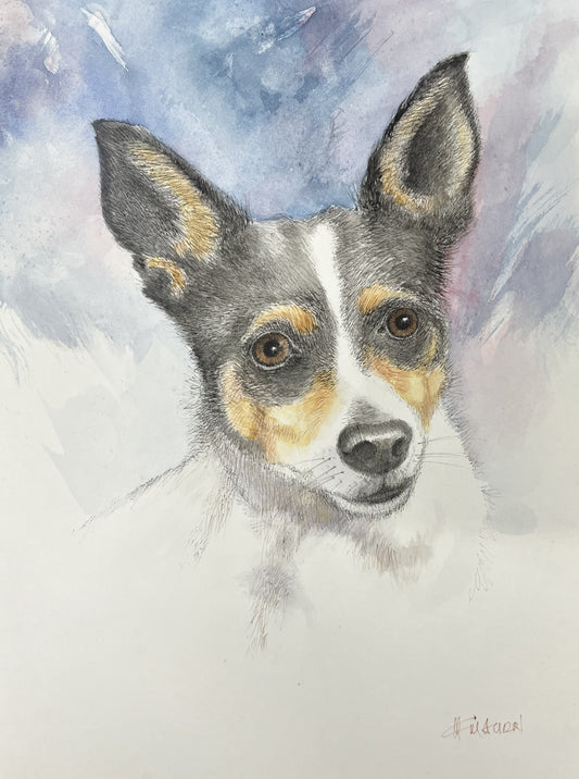 Michael McMahon - Foxy