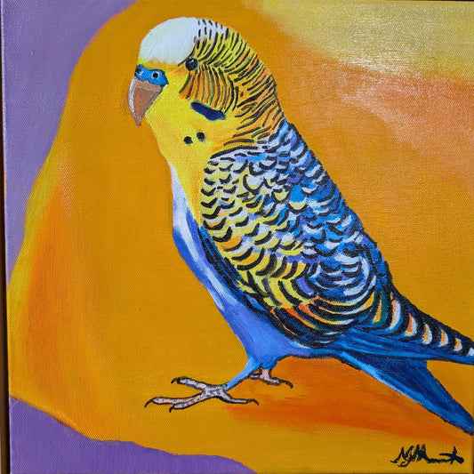 Michelle Howarth - Budgie