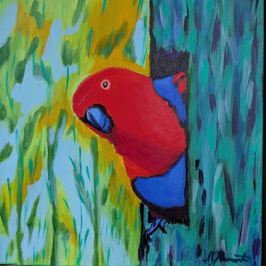 Michelle Howarth - Eclectus Parrot