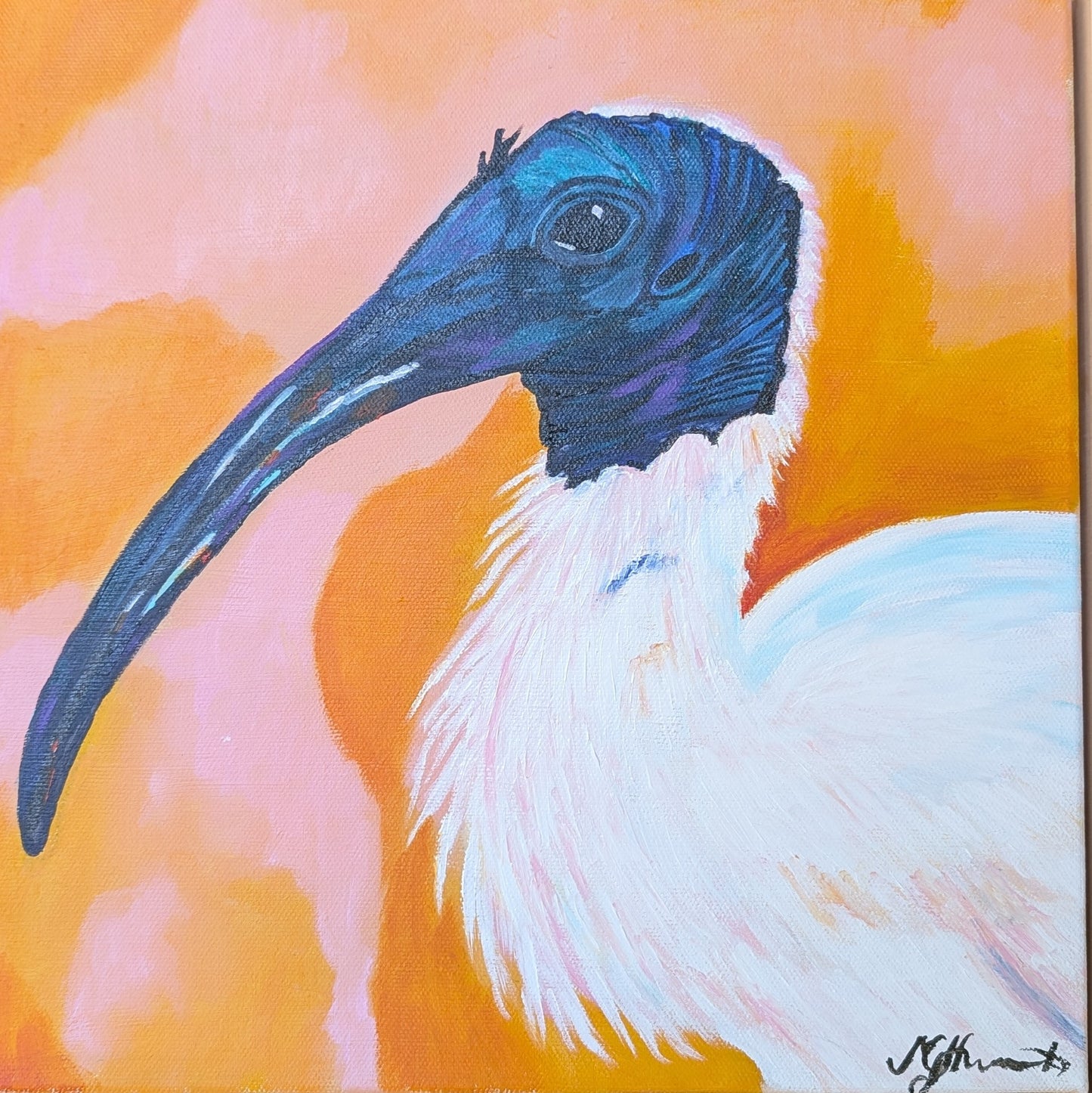Michelle Howarth - Ibis