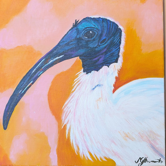 Michelle Howarth - Ibis