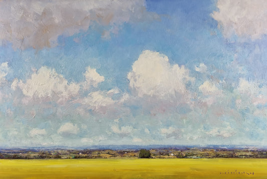 Minhan Cho - Golden Fields, Endless Sky, Wagga Wagga