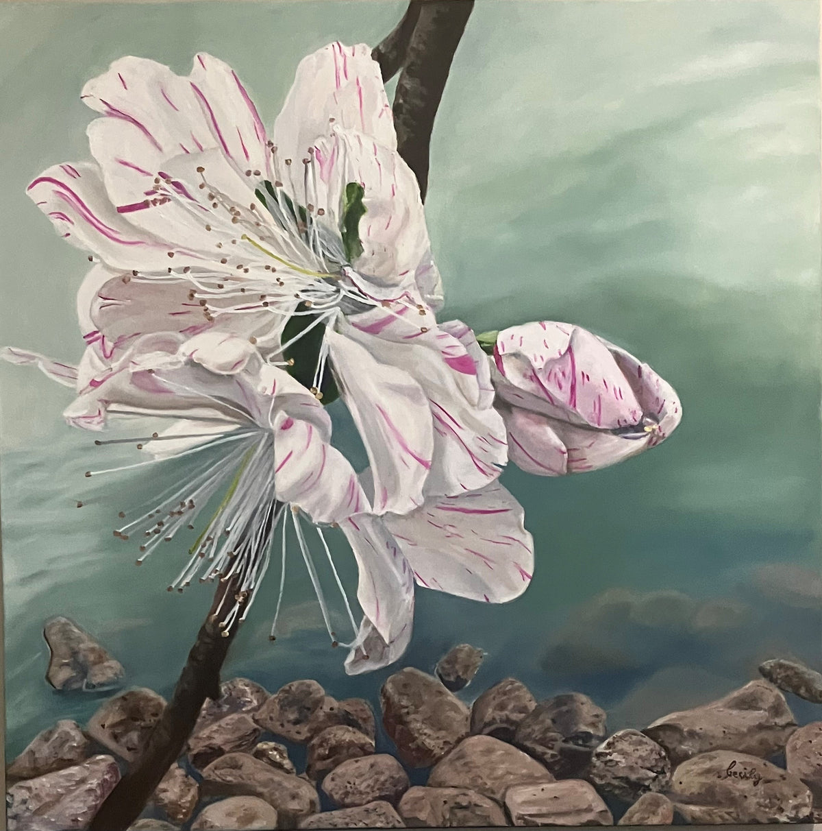 Cecily Slade - Moments of Zen