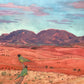 Nick Olsen - Flinders Ranges with Emerald Ringnecks