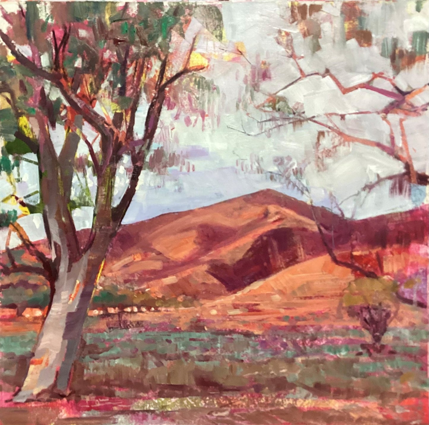 Nick Olsen - Patinka Red Gums
