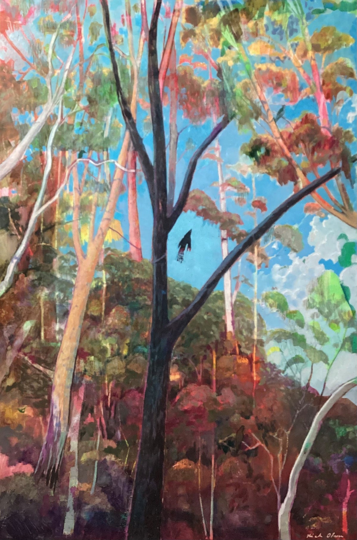 Nick Olsen - Currawong in the Forest