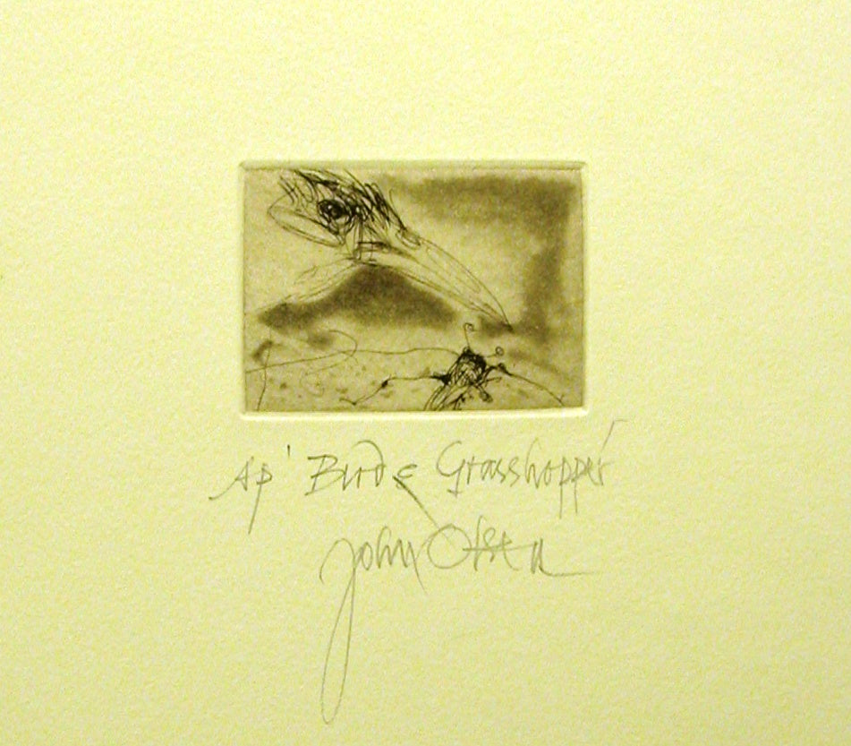 John Olsen - Bird & Grasshopper AP