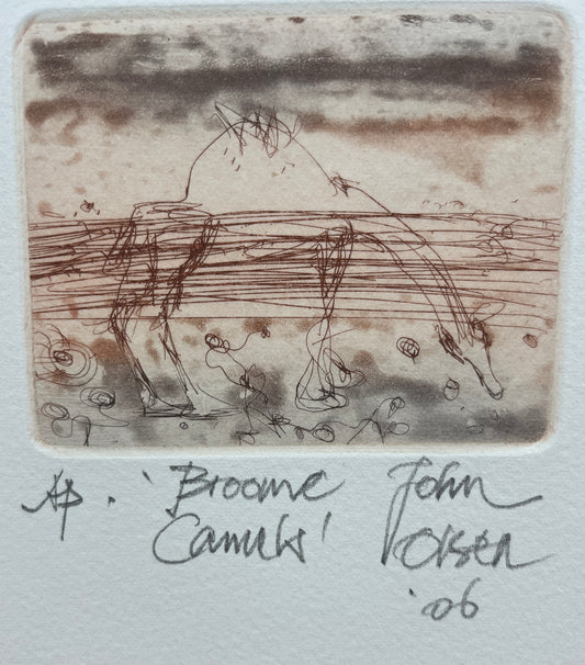 John Olsen - Broome Camels AP