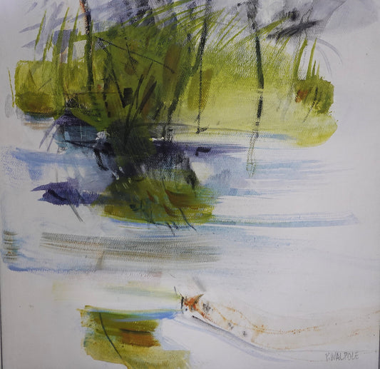 Pam Walpole - Skimming the Surface