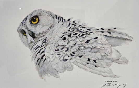 Paul Margocsy - Harry Potter's Owl