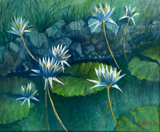 Rosemary Hain - Pond With Waterlilies