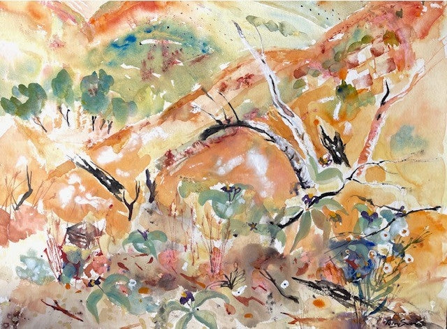 Terry Swann - Wildflower Time east of Alice