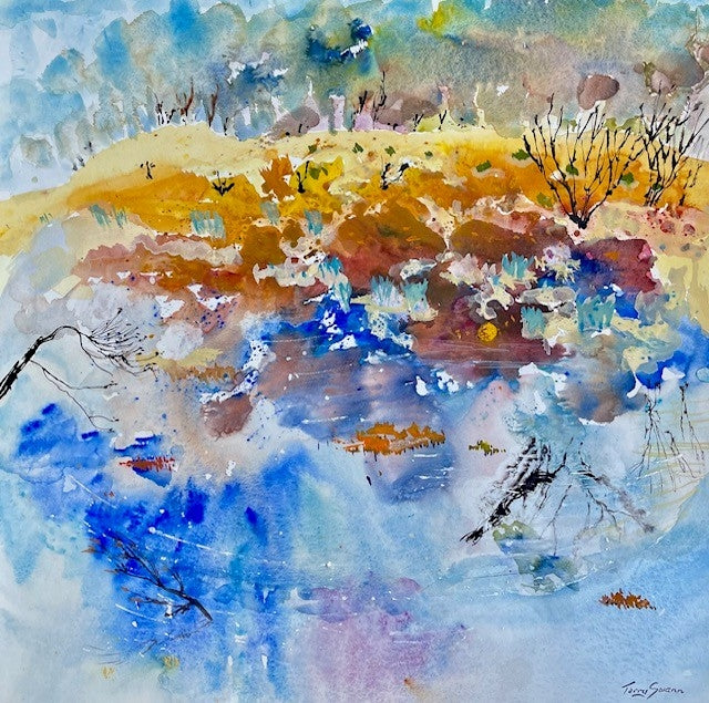 Terry Swann - Salt Pan, Kangaroo Island